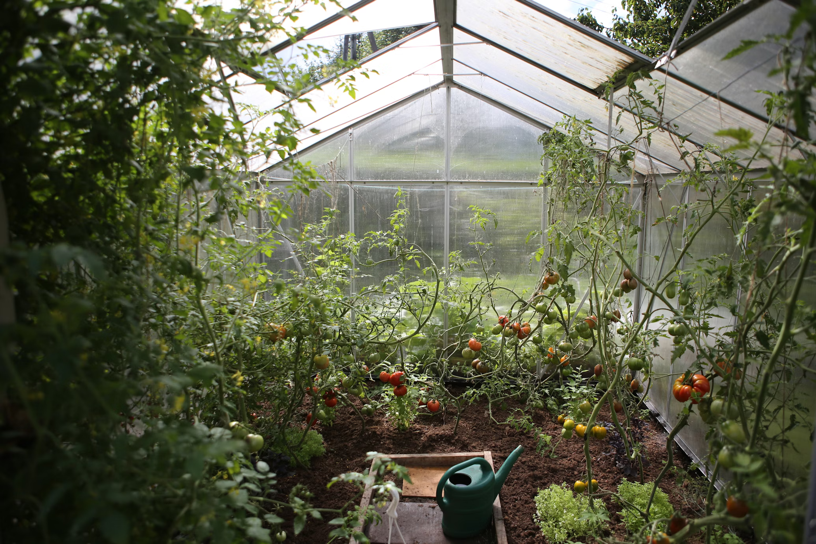 Jardim Protegido